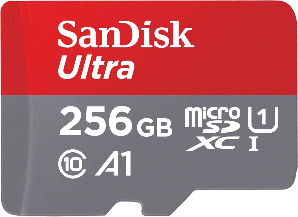 Sandisk class 10 256Gb Memory Card